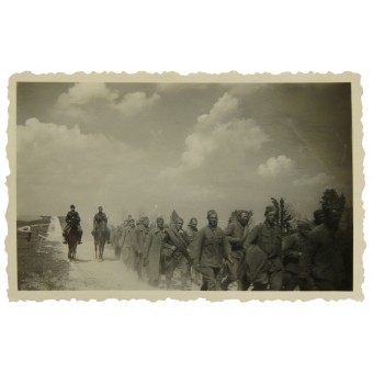 Gefangenen-Kolonne. Sovjetiska krigsfångar sommaren 1941. Espenlaub militaria